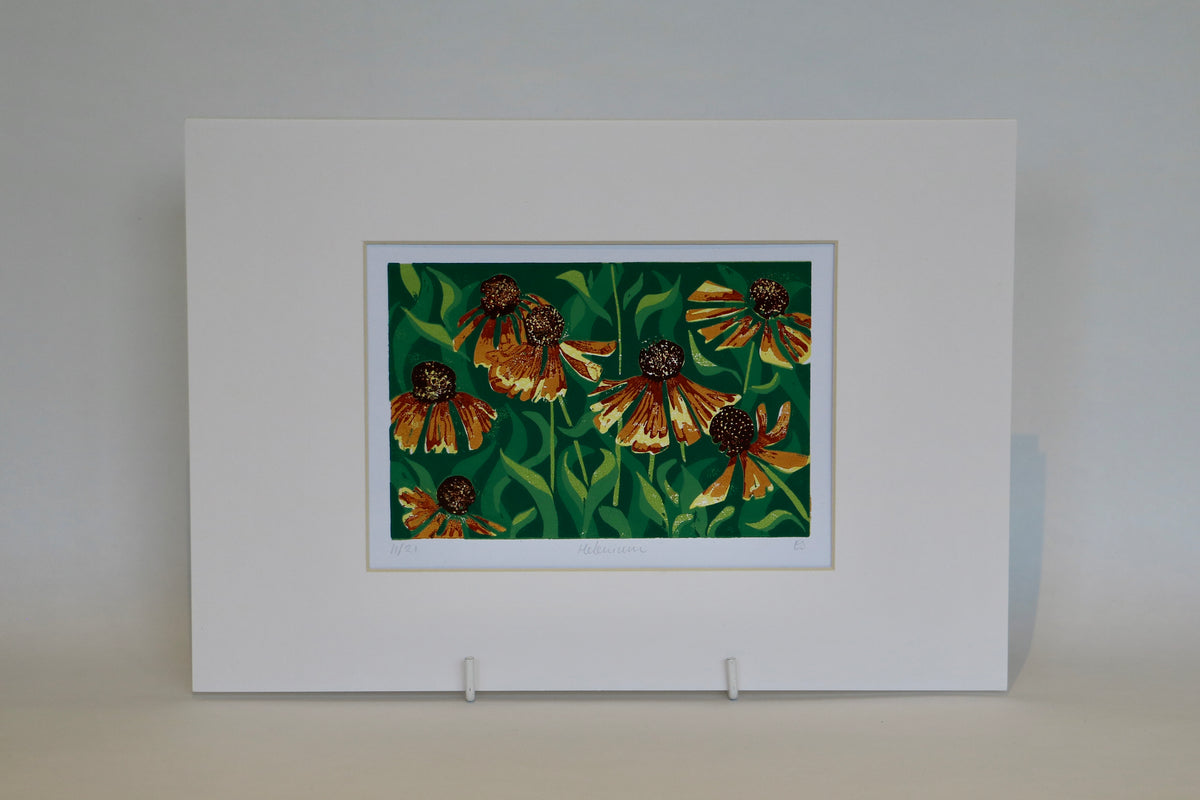 Helenium - Linocut Print
