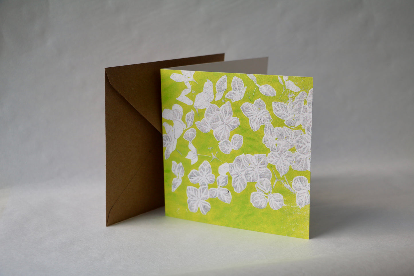 Hydrangea Annabelle  - Greetings Card