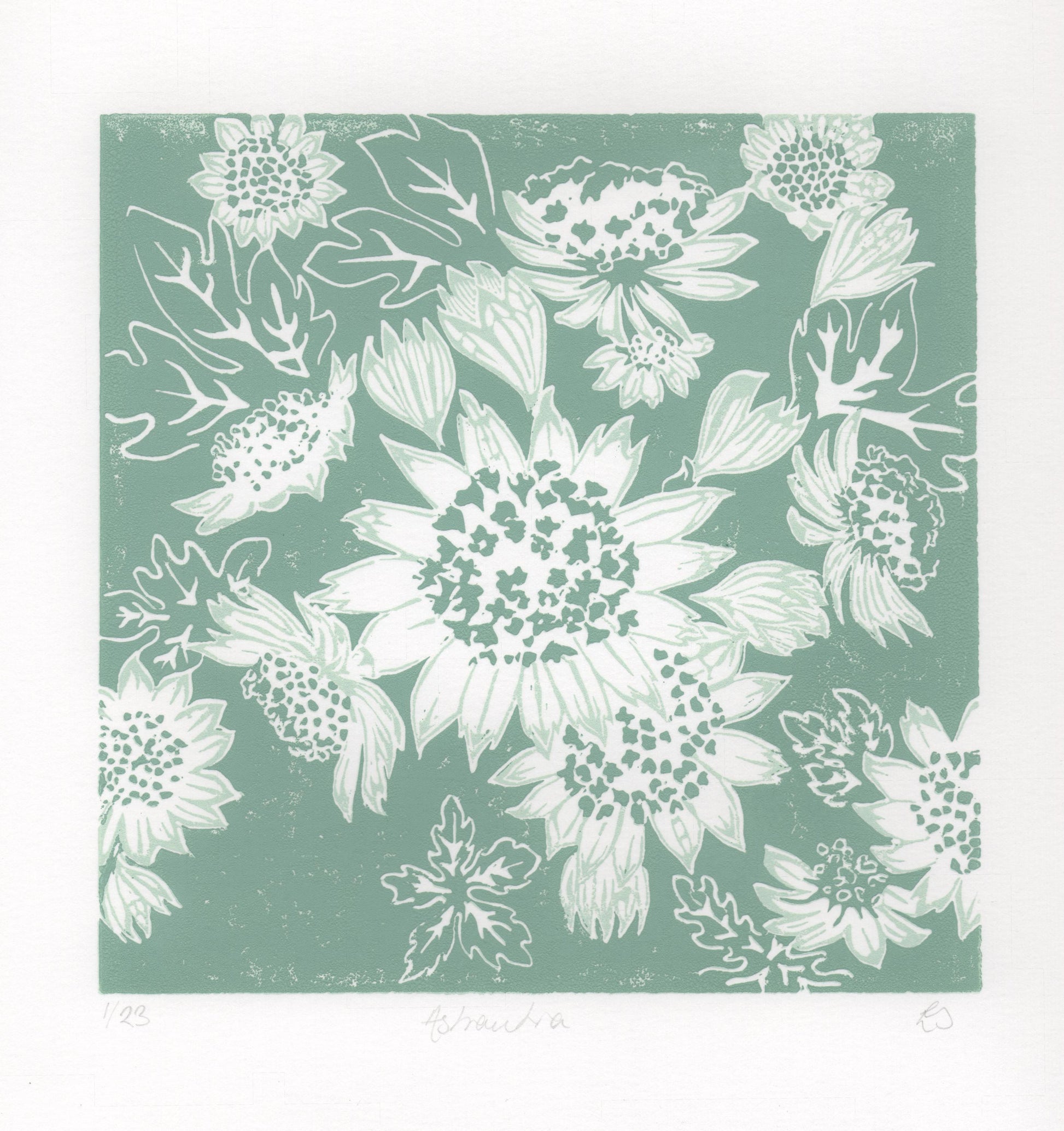 A square art print of Astantias, with a muted sage green background and white linocut flowers and leaves.