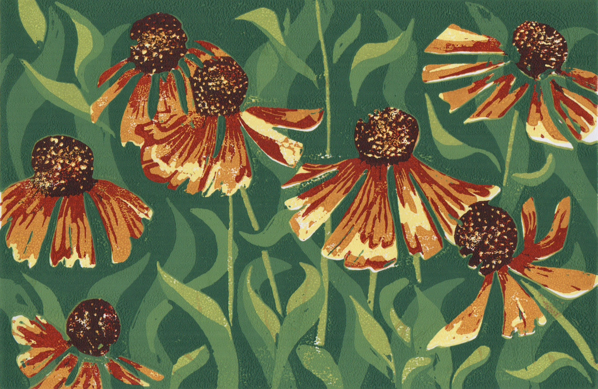 Helenium - Linocut Print