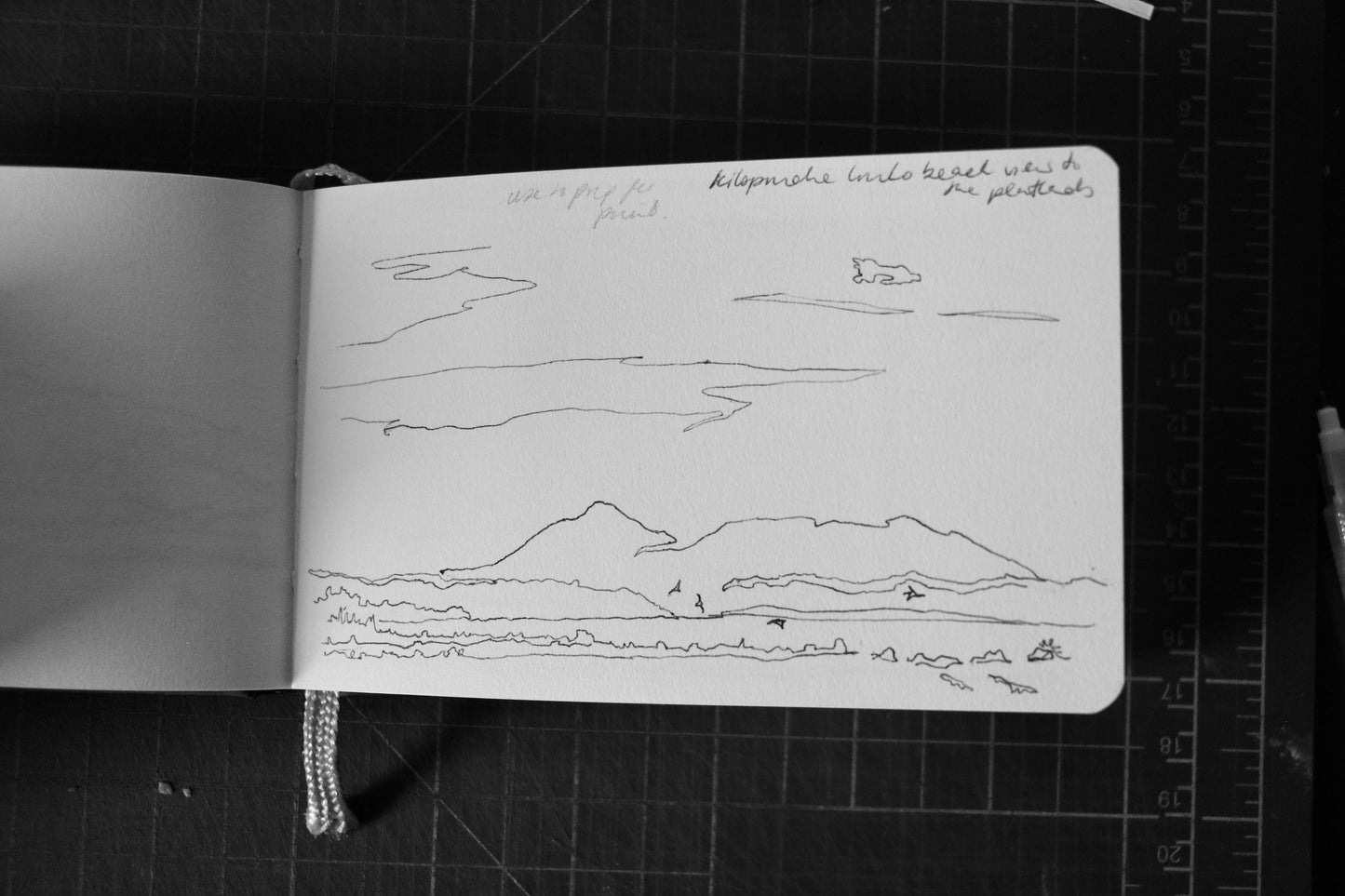 Edinburgh & the Pentlands [Line Drawing]