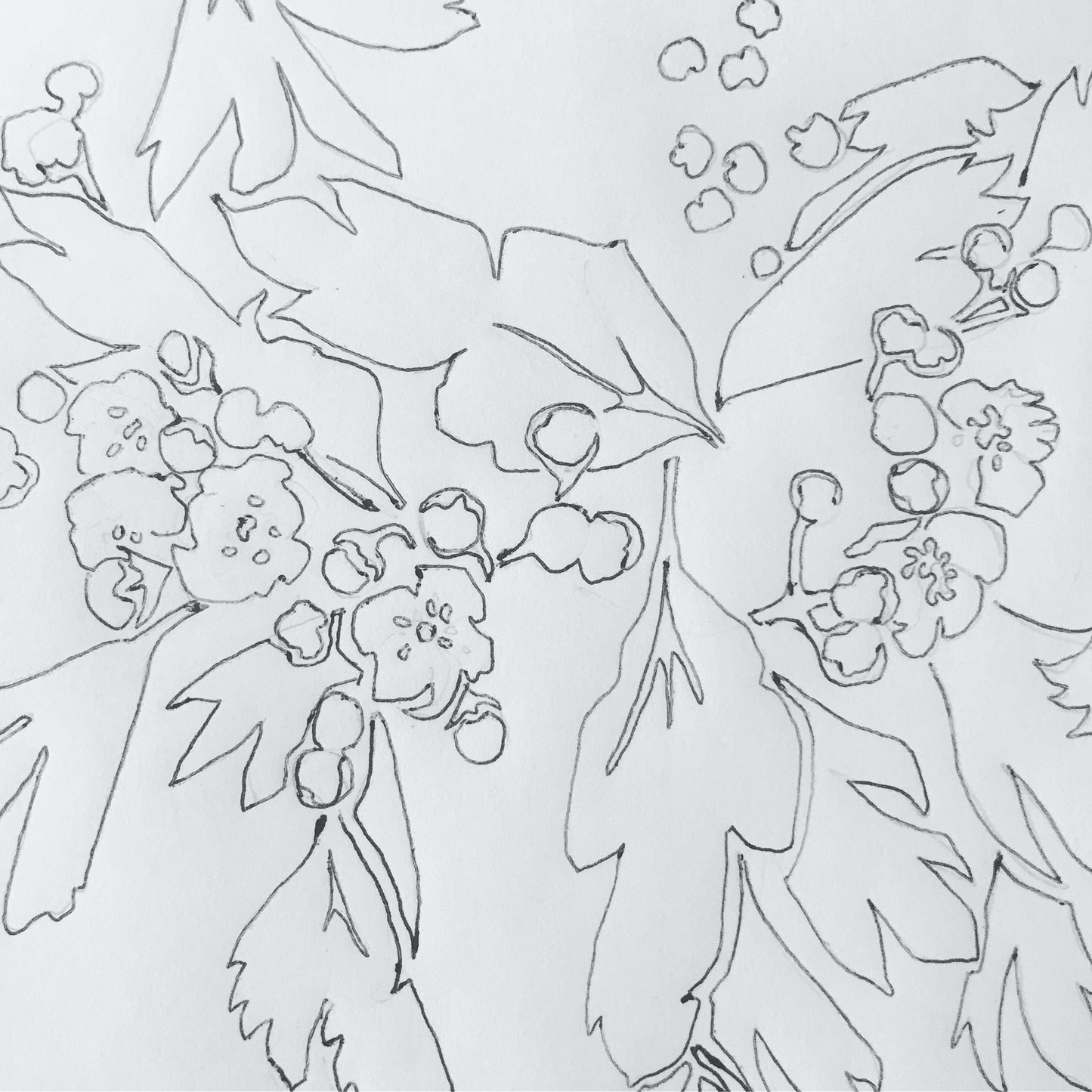 Hawthorn Blossom (Large) - Linocut Print