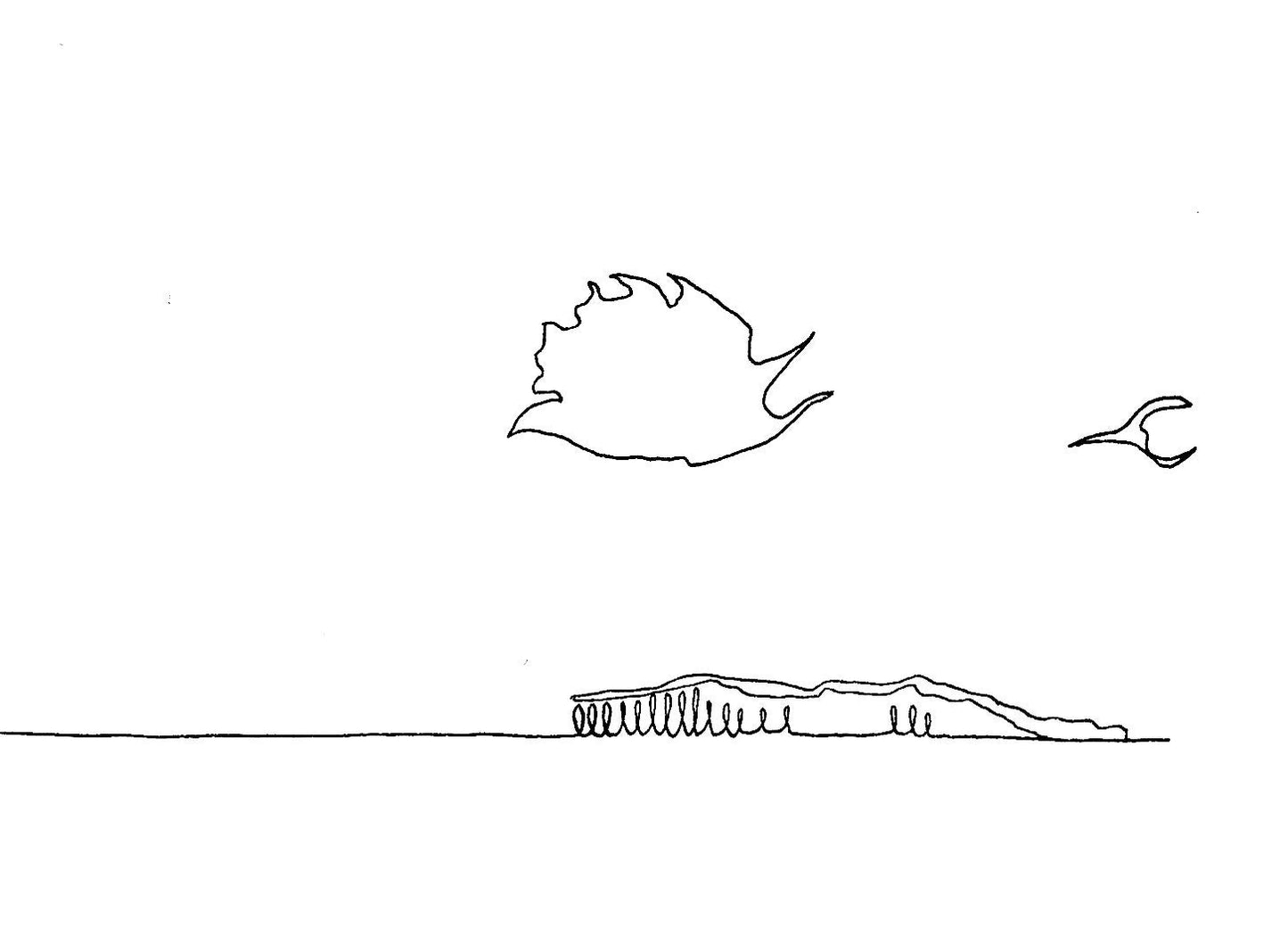 The Bass Rock & The Isle of May [Line Drawing]