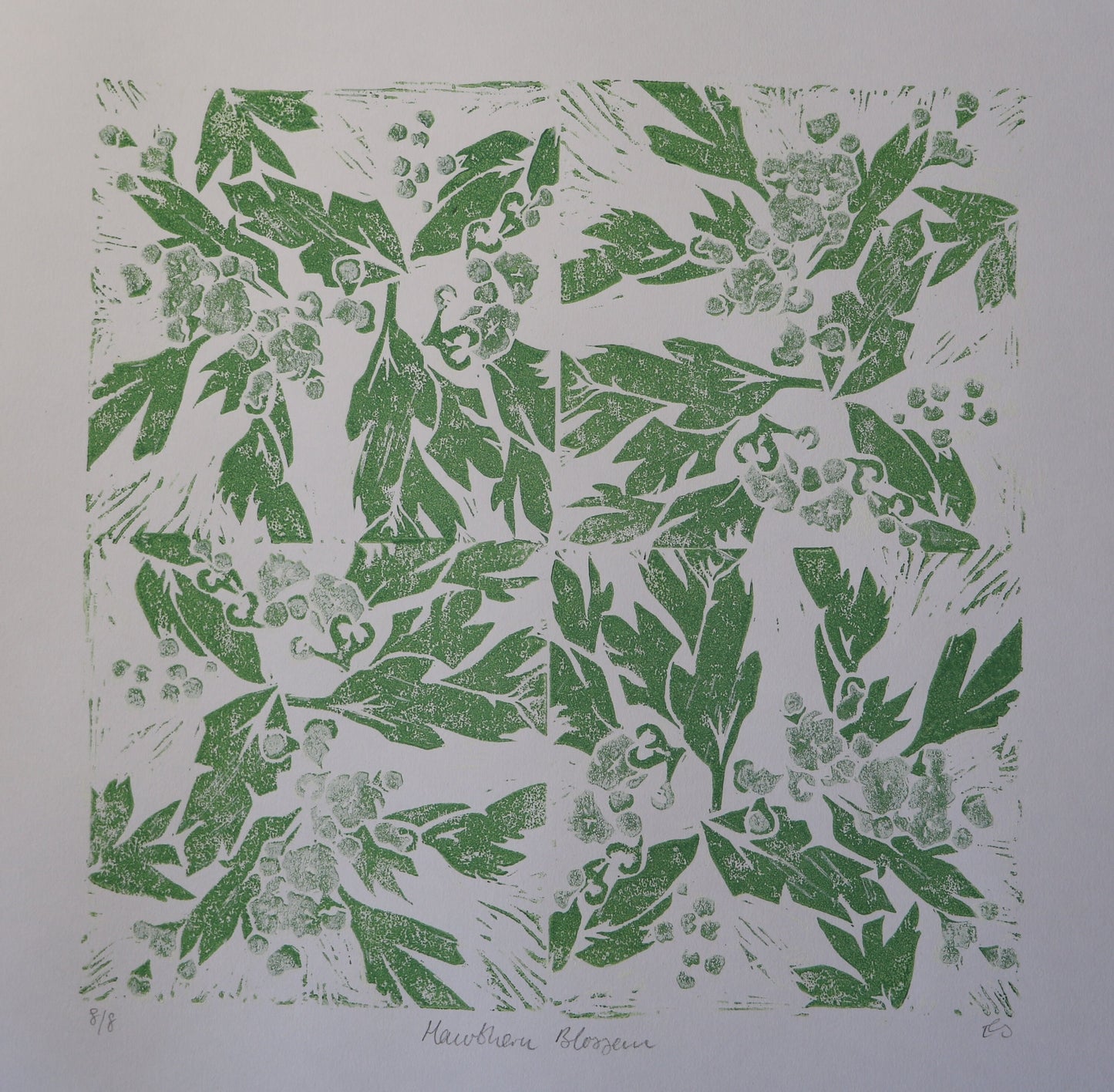 Hawthorn Blossom (Large) - Linocut Print
