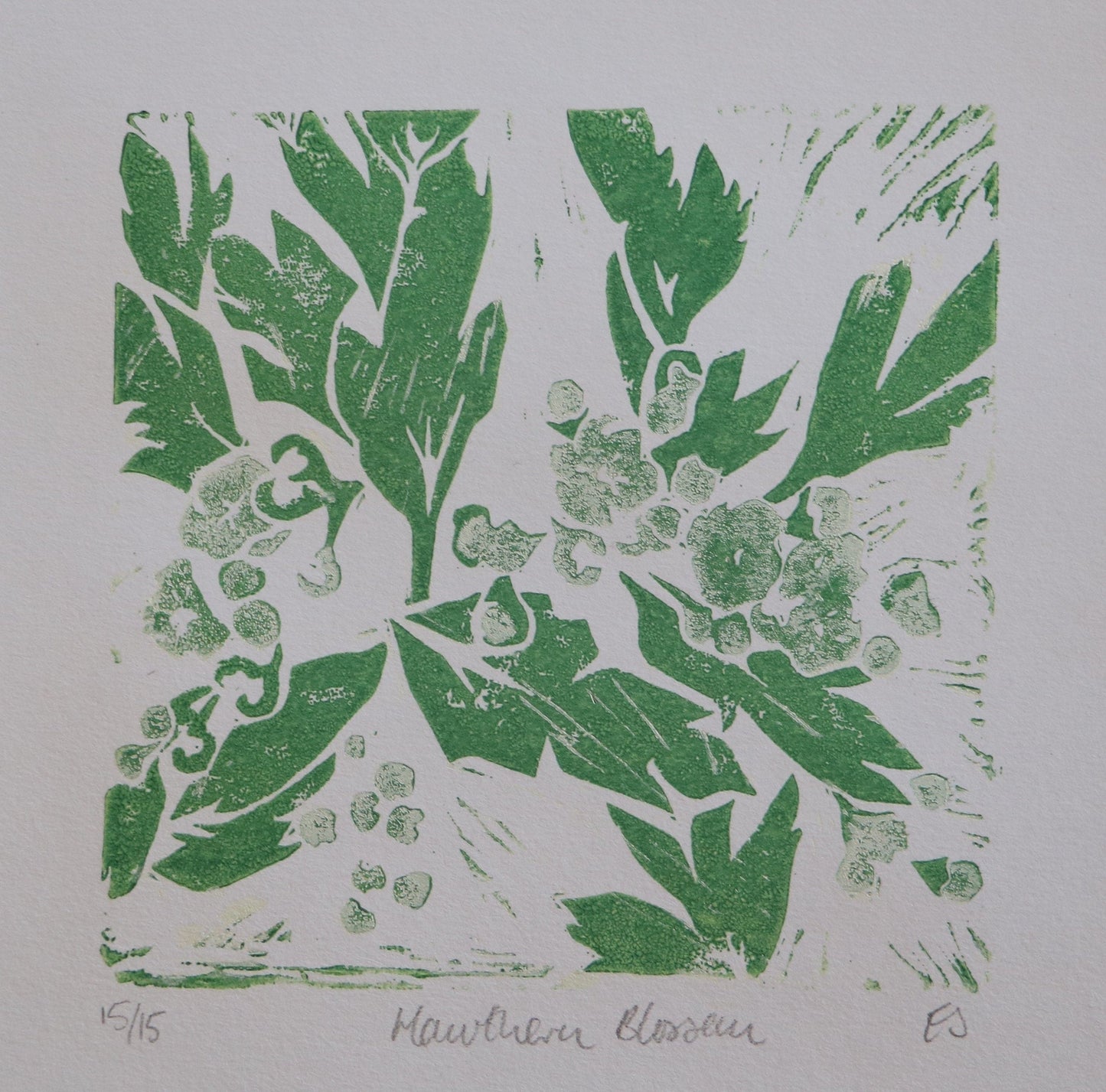 Hawthorn Blossom [Small Linocut Print]