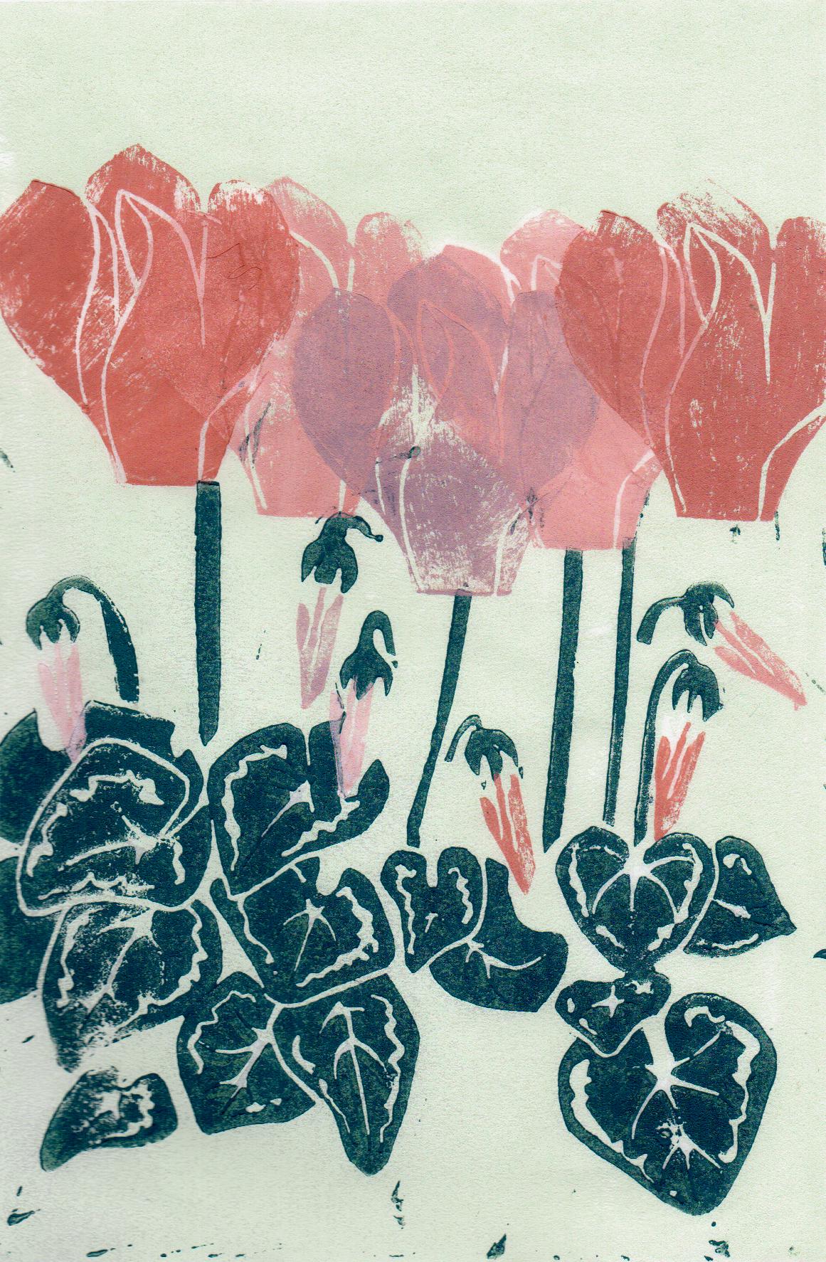 Cyclamen - 4 Card Bundle