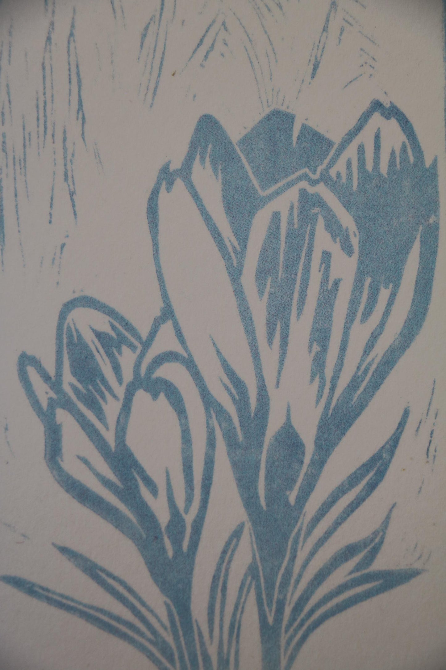 Crocus - 4 Card Bundle