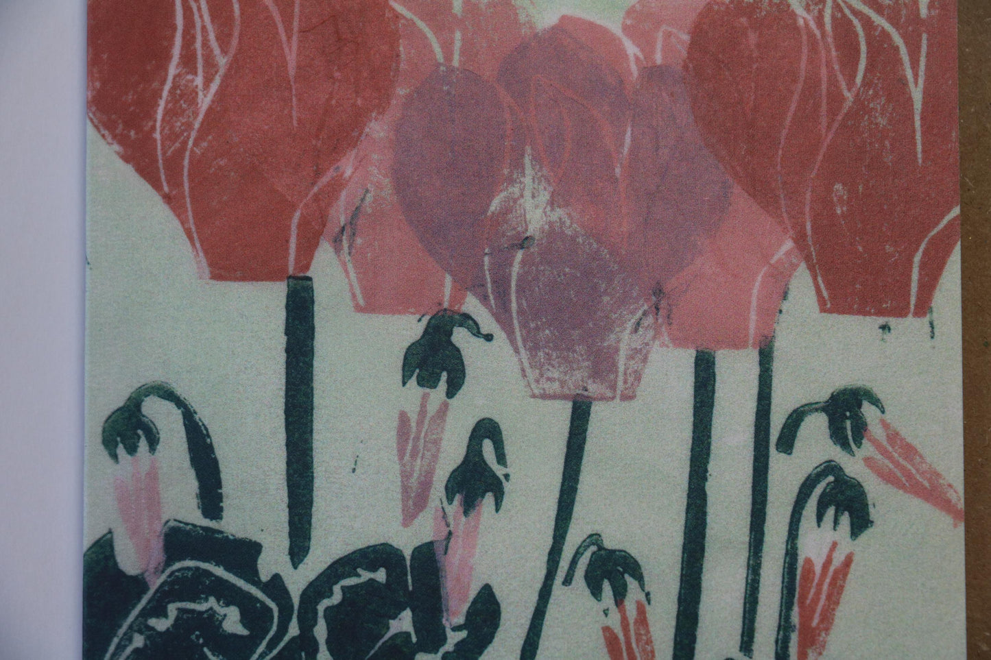 Cyclamen - 4 Card Bundle