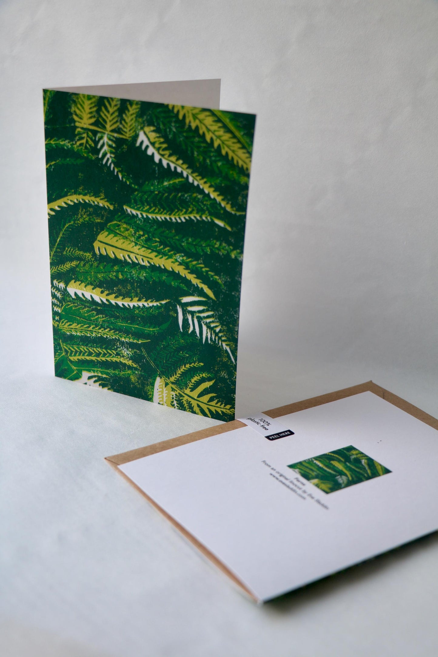 Ferns - 4 Card Bundle
