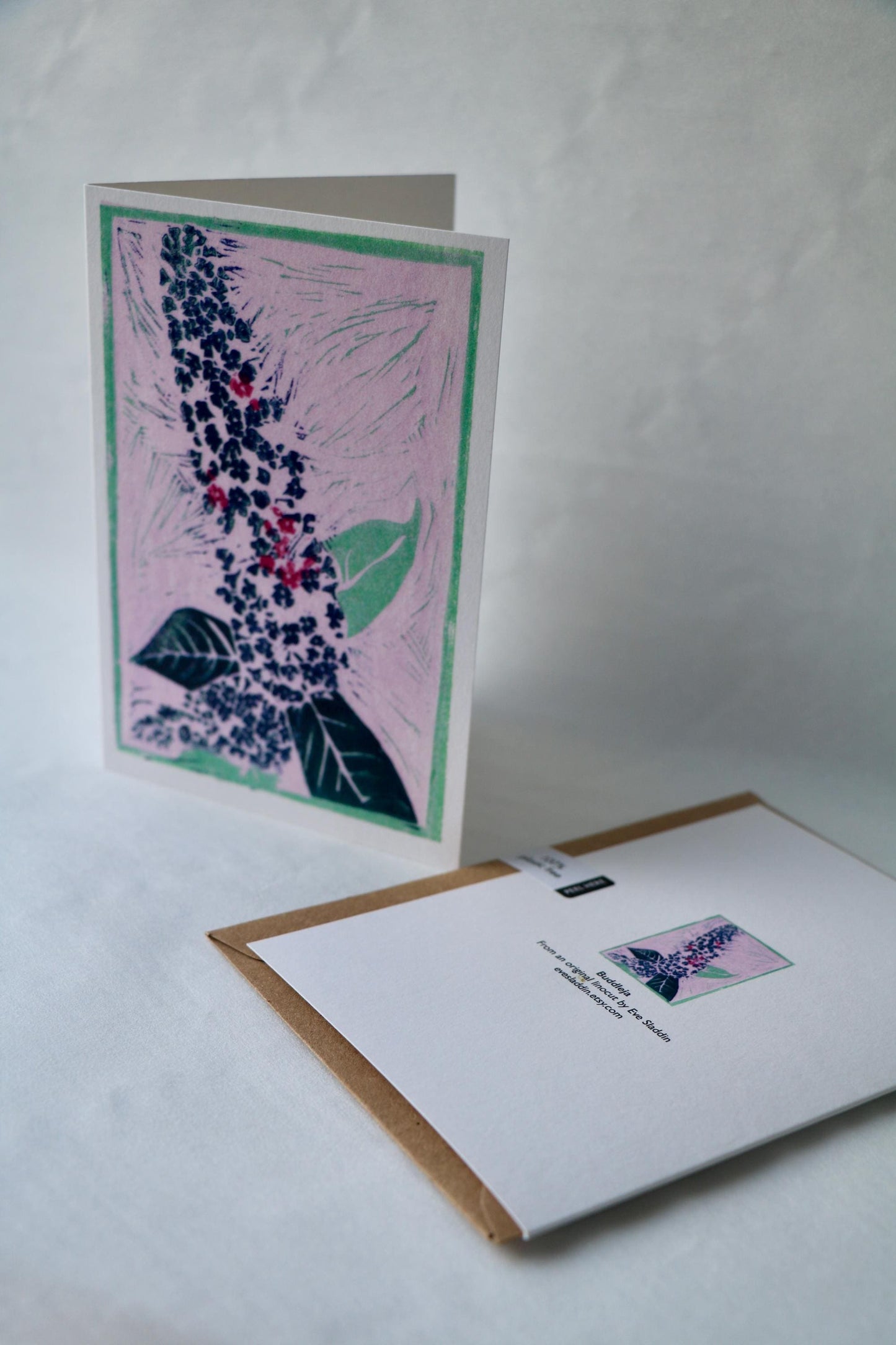 Buddleja - 4 Card Bundle