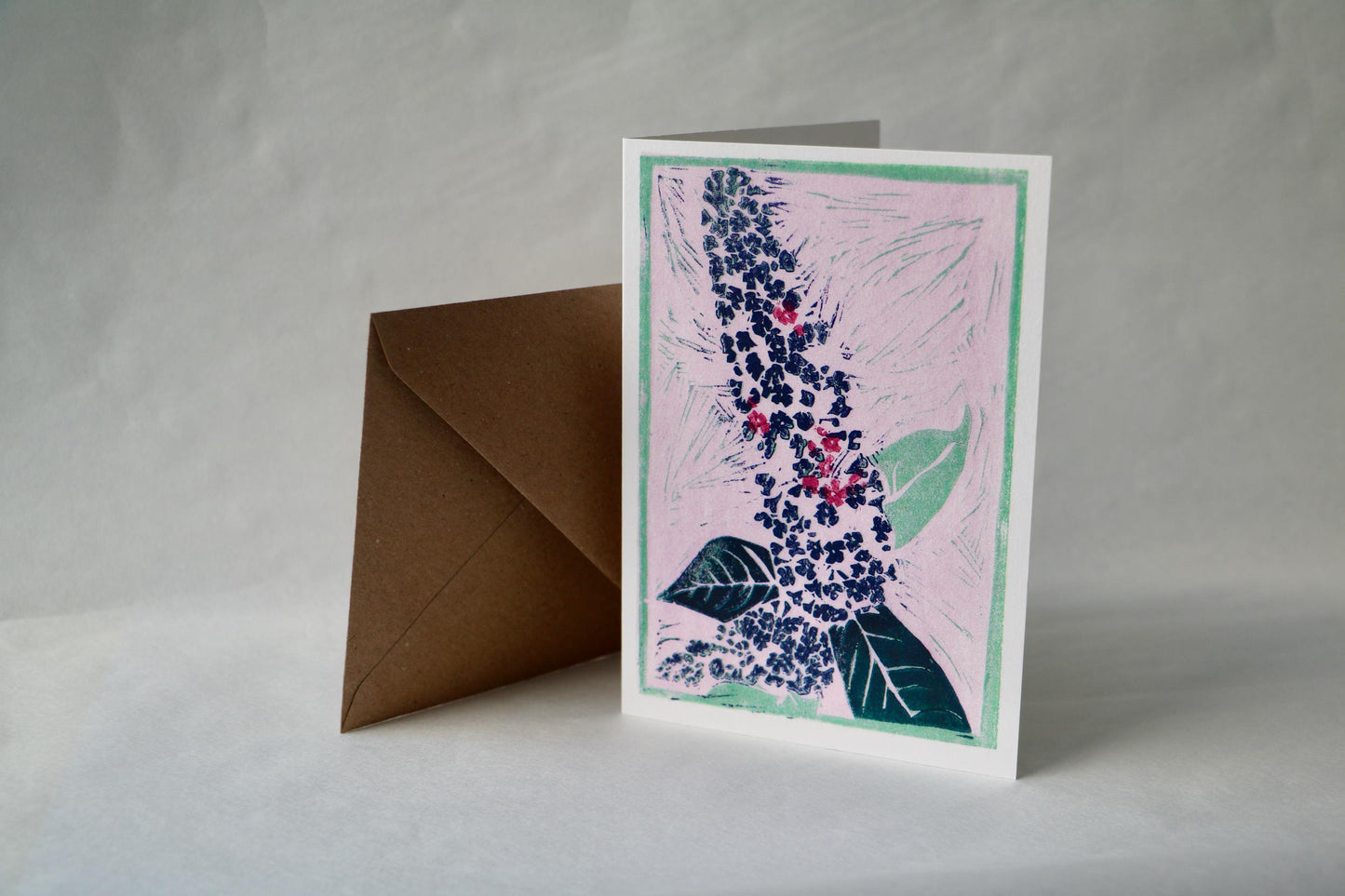 Buddleja - 4 Card Bundle