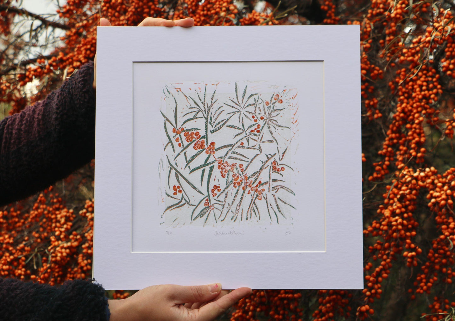 Seabuckthorn - Linocut Print
