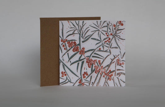 Sea Buckthorn - 4 Card Bundle