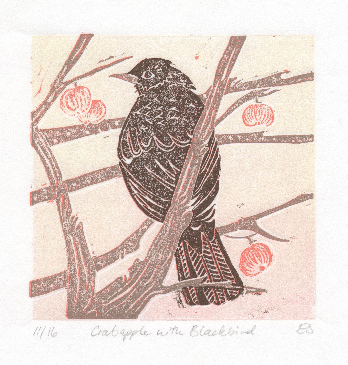 Crabapple with Blackbird - Linocut Print