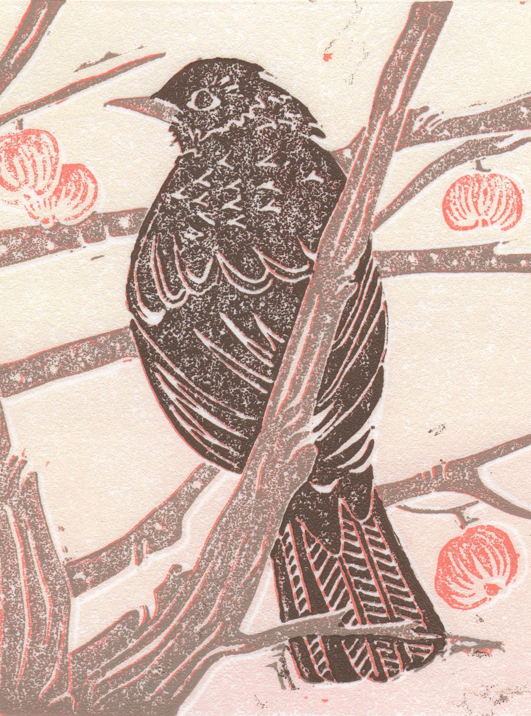 A square linocut art print by Eve Sladdin featuring a blackbird perched on a crabapple tree, featuring small red apples.