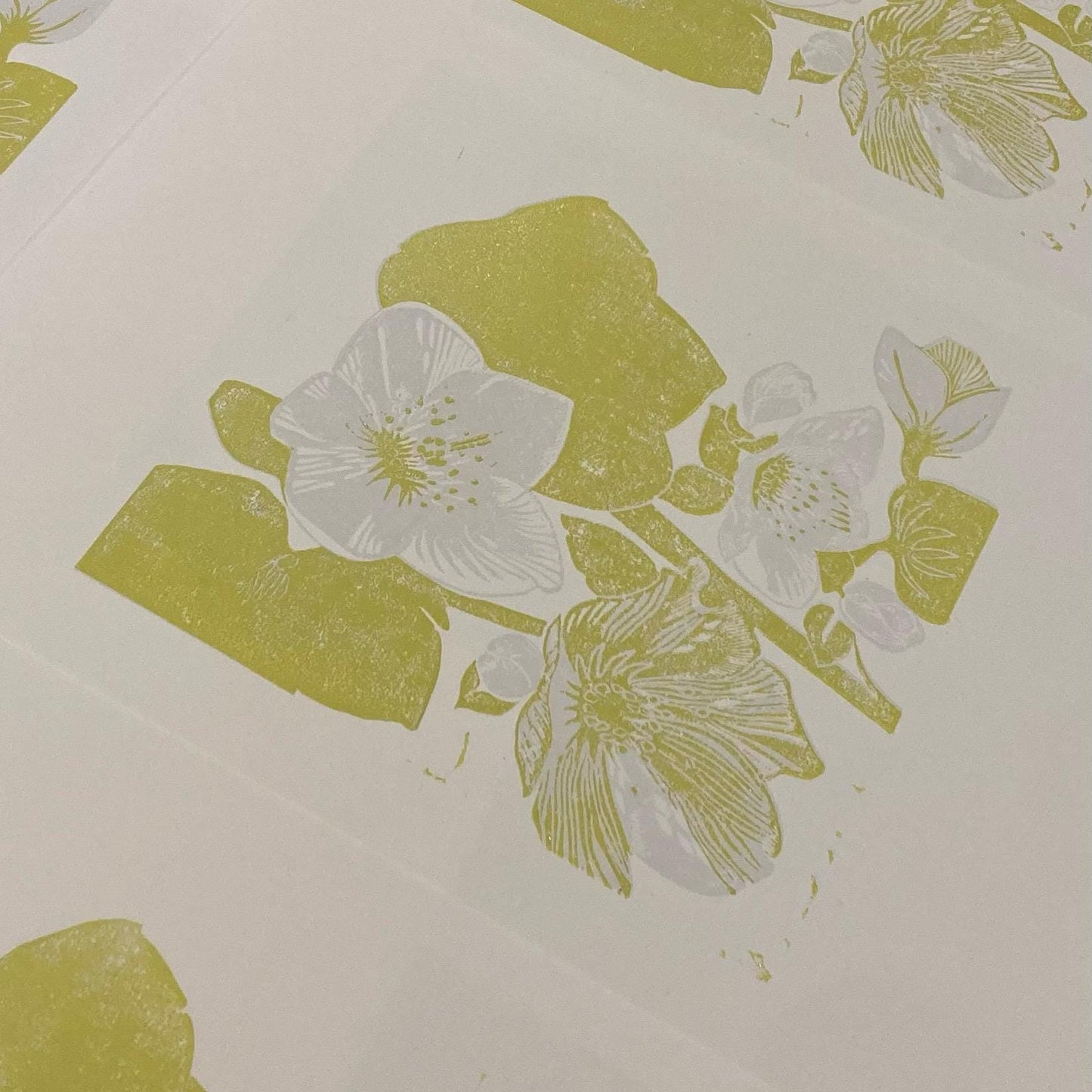 Hellebore - 4 Card Bundle