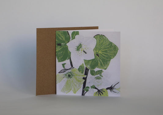 Hellebore - 4 Card Bundle
