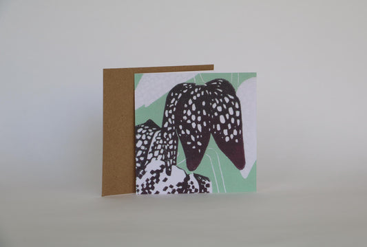 Fritillaria - 4 Card Bundle