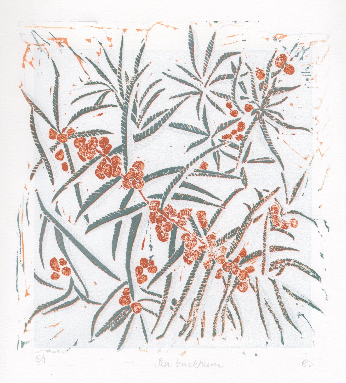 Sea Buckthorn - 4 Card Bundle