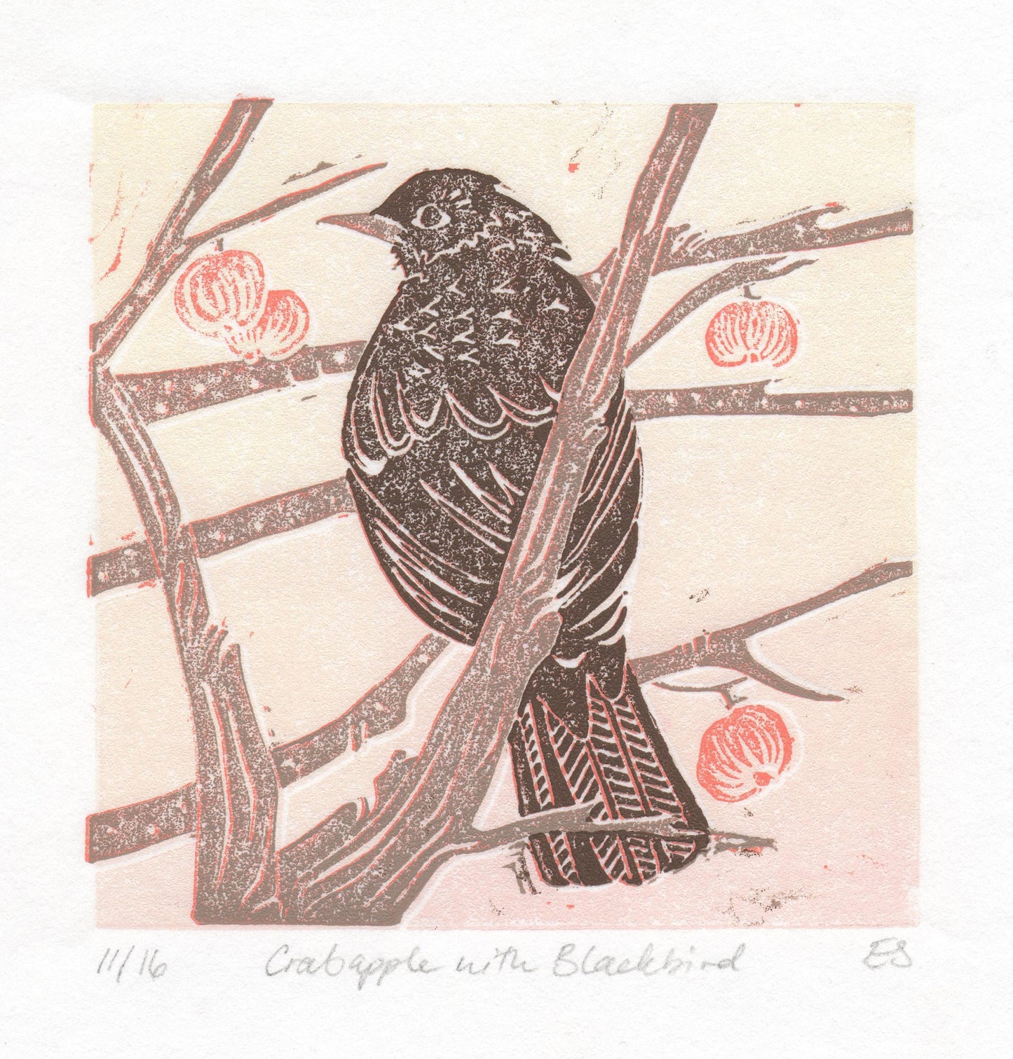 Crabapple- 4 Card Bundle