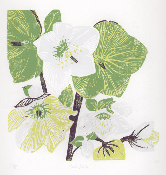 Hellebore - Linocut Print